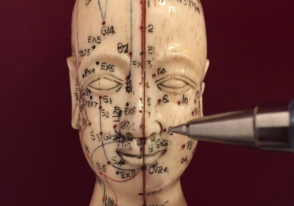 Why Do Professional Bodies Matter In Acupuncture?